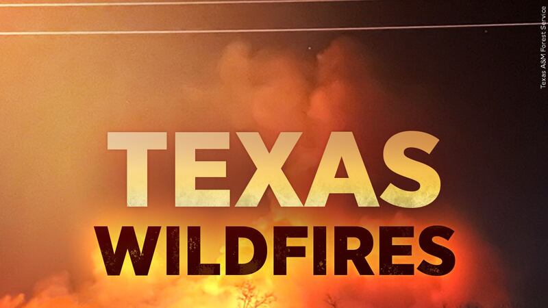 Texas Wildfires
