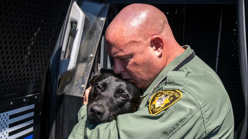 Las Vegas police say K-9 Kimura has died after suffering a medical emergency.