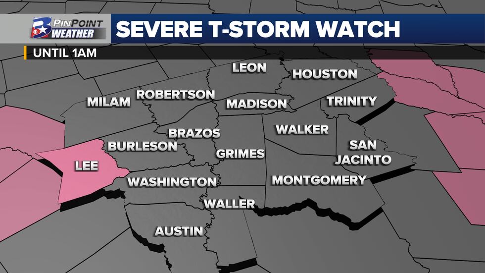 Lee County included in the watch until 1 AM.