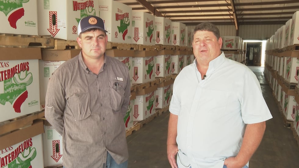 Fifth-generation watermelon pickers Clint Wiggins and his father, Jody Wiggins.
