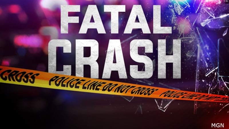 1 person killed in Grimes County crash