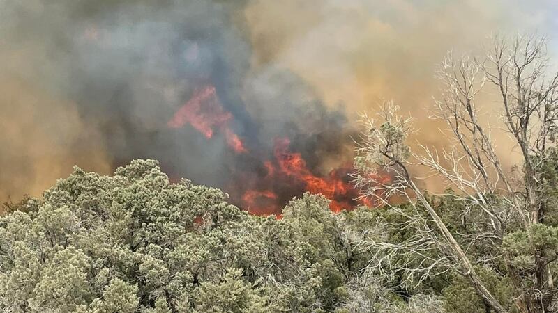 Texas A&M Fire Service is still fighting the Rocky J fire, which is 138 acres and 75% contained.
